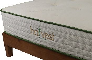 Harvest Green Natural Twin Mattress review